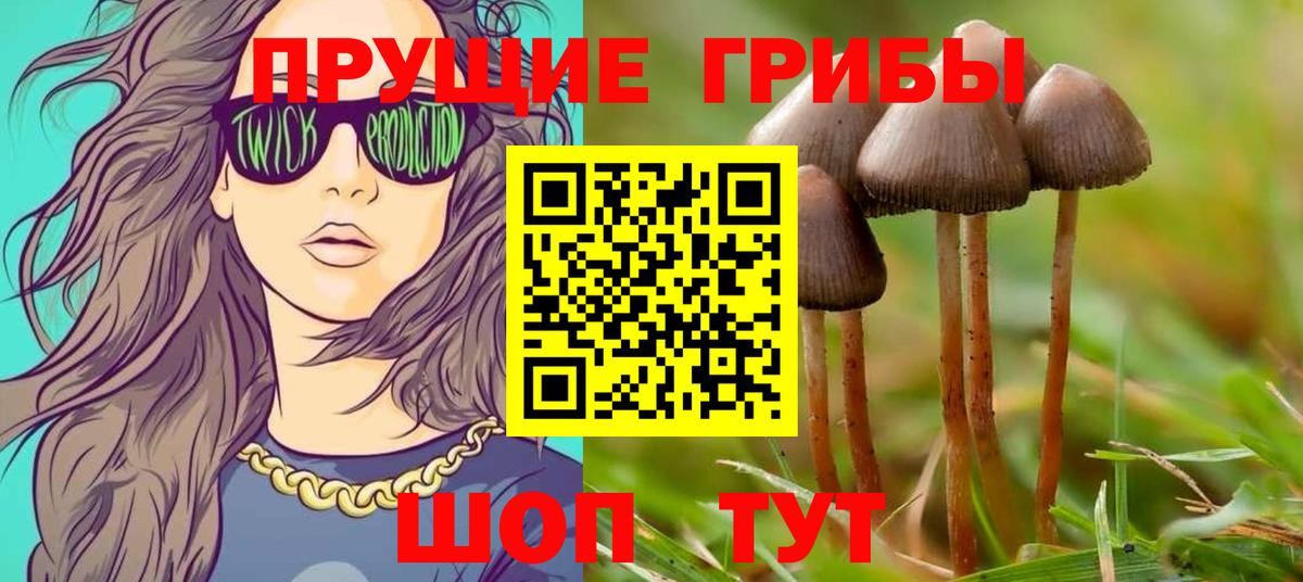 Канаш  Галлюциногенные грибы мицелий  Галлюциногенные грибы Psilocybine cubensis  Вход с VPN 