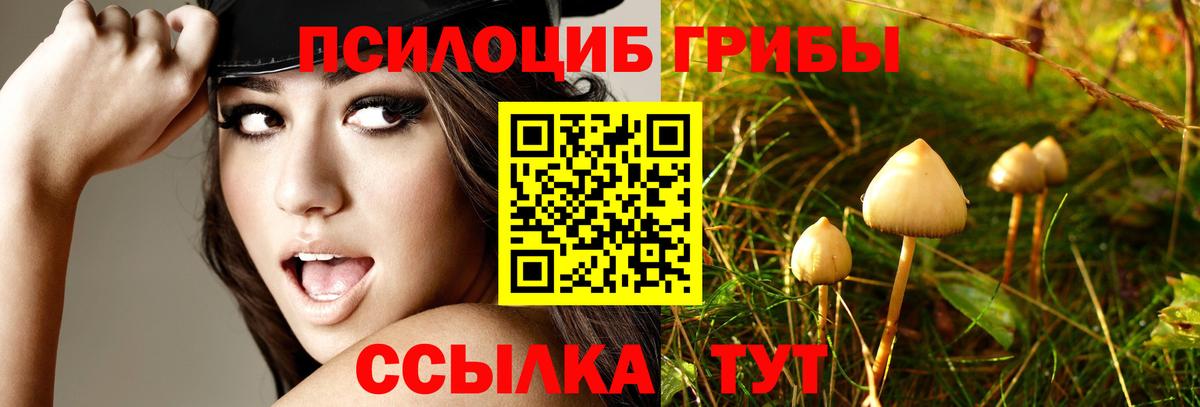 Галлюциногенные грибы MAGIC MUSHROOMS Канаш